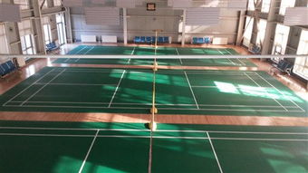 專注品質，服務運動——北京達森運動木地板有限責任公司