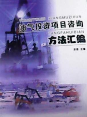 油氣投資項(xiàng)目咨詢方法全解 從評(píng)估到?jīng)Q策的實(shí)踐指南